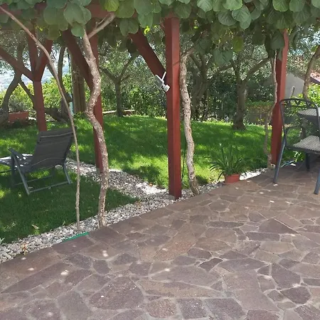 Apartment Apartma Nona Roza Zgornje Skofije