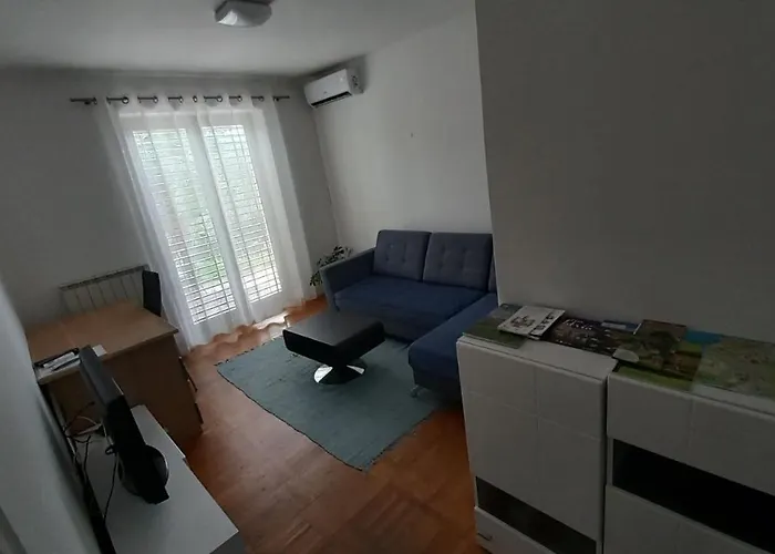 Apartment Apartma Nona Roza *