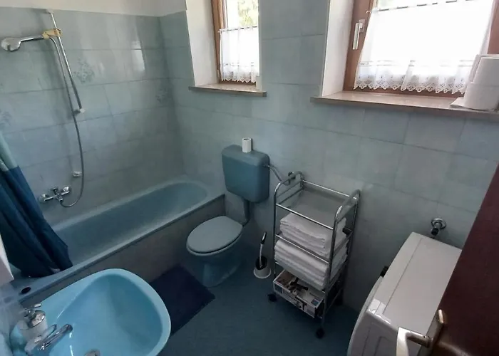 Apartma Nona Roza Apartment Zgornje Skofije